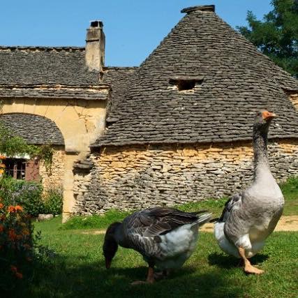 Ferme périgourdine